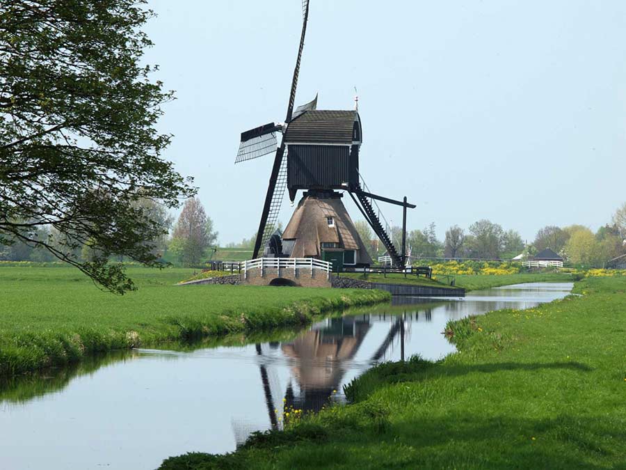 Molens bij de Kinderdijk - dichter bij de polder.