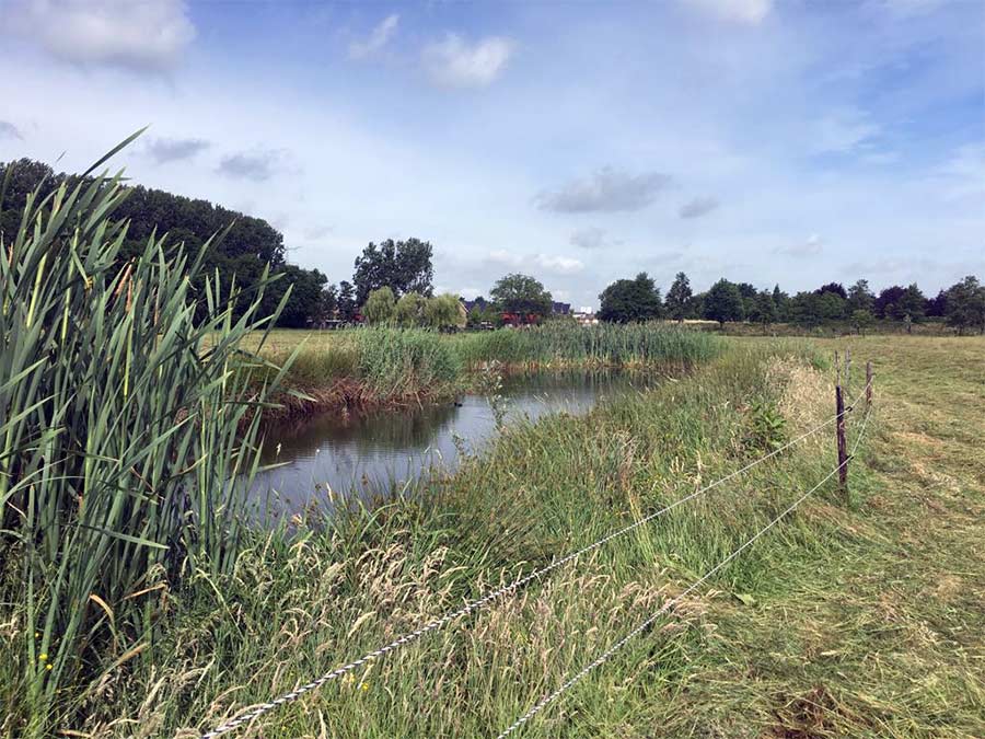 Molens bij de Kinderdijk - dichter bij de polder.